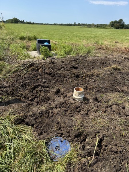 Finished septic cleanout riser in a rural yard